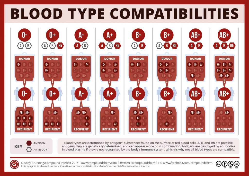 What Is Your Blood Type? What to Know About A, B, AB, and O - GoodRx